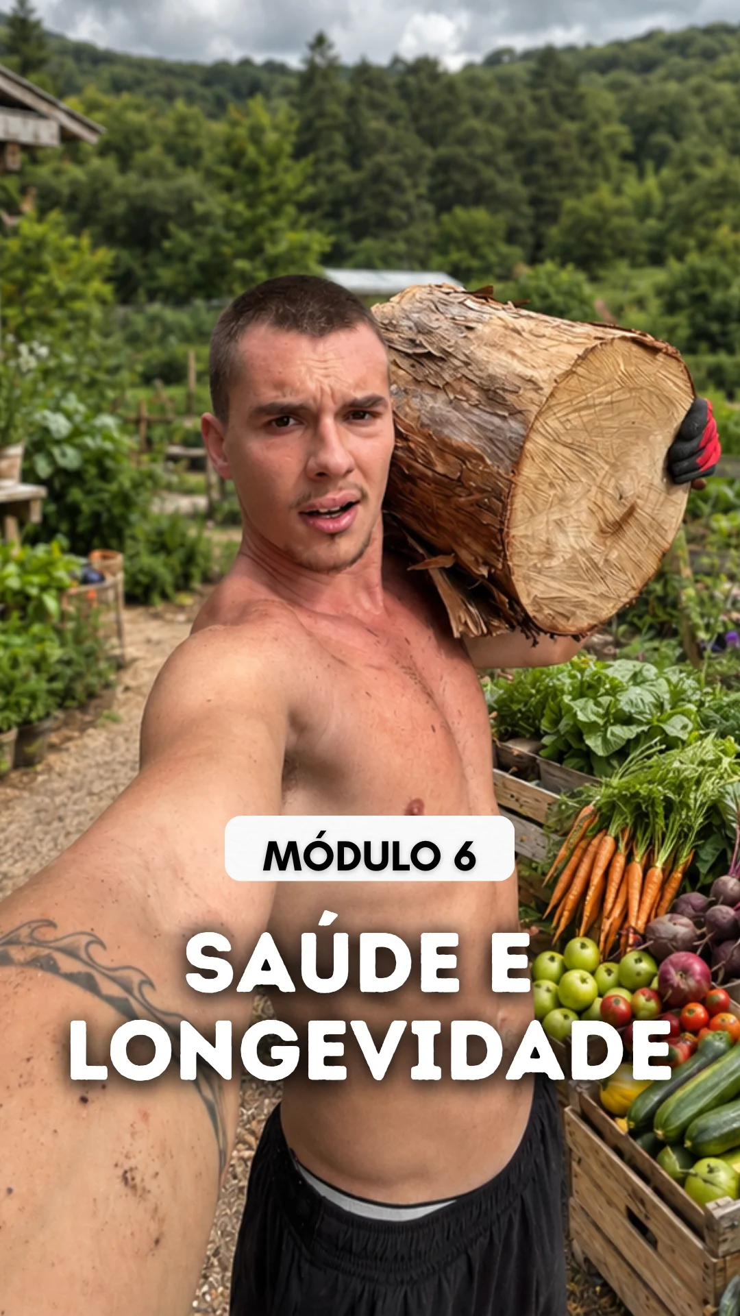 Módulo 6
