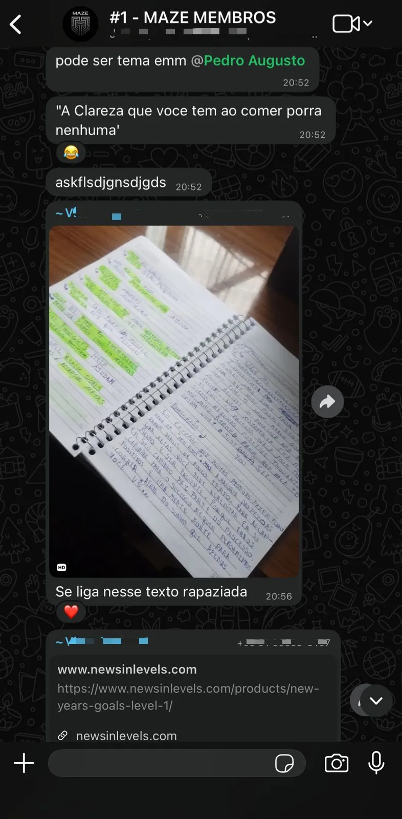 Conversa dos membros da MAZE